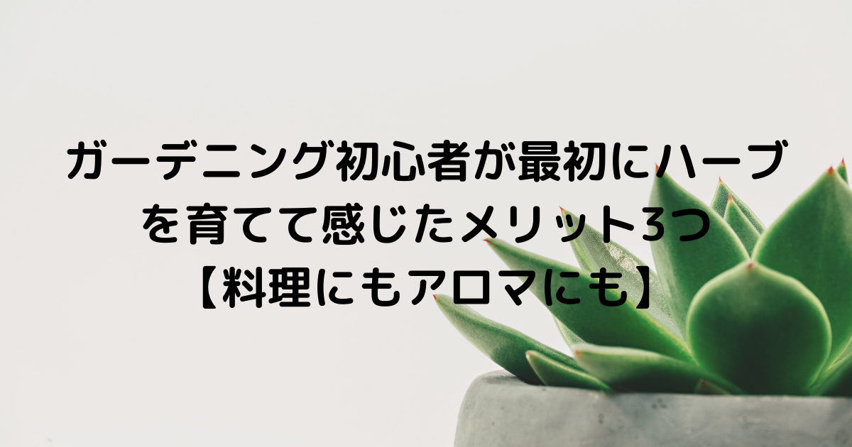 ガーデニング初心者が最初にハーブを育てて感じたメリット3つ 料理にもアロマにも 初心者ガーデニングと暮らしのブログ